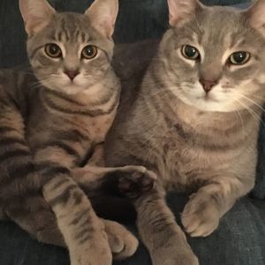 Meet your Posher, Lorraine